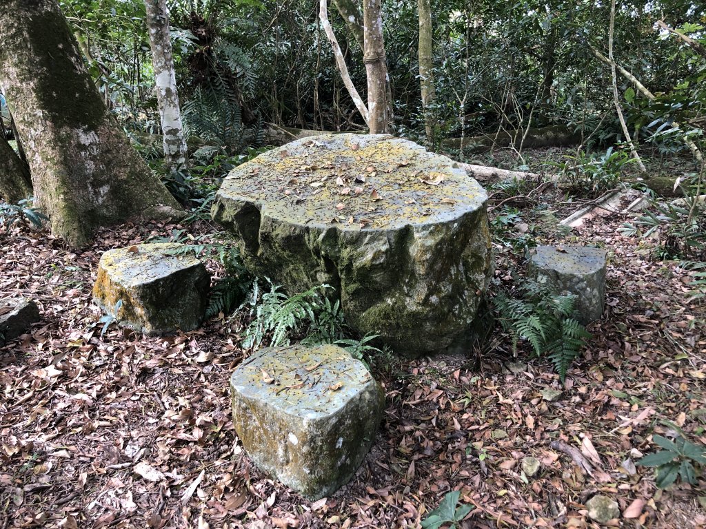 關仔嶺大凍山步道走曾文水庫O型_1611847