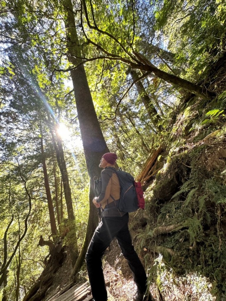 20231120🤣三角貓上庫哈諾辛山🤷🧗_2356956