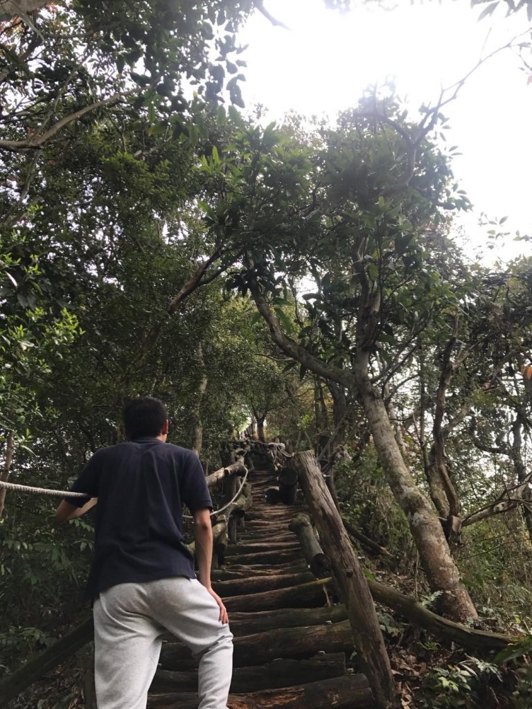 頭嵙山攻頂封面圖