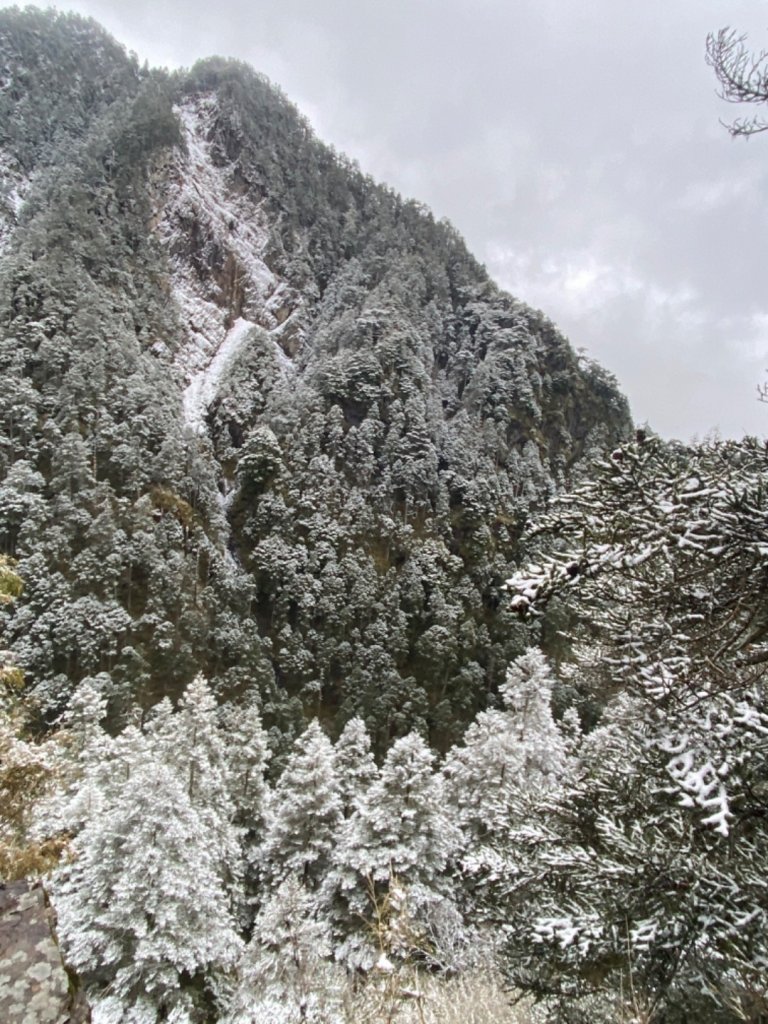塔塔加-排雲山莊。驚喜滿分的糖霜雪景_1565795
