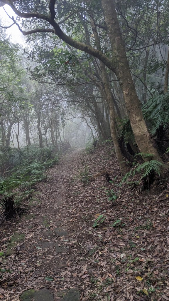 20230219_台北大縱走第四段_風櫃口到中華科大_2037884