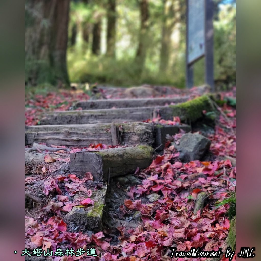 台灣小百岳大塔山_2034146
