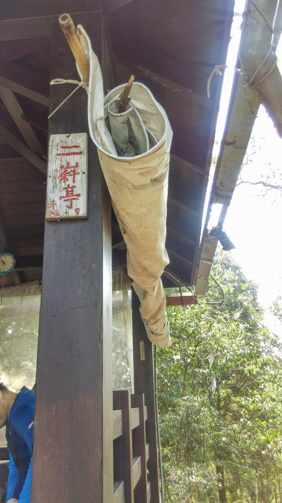 大坑5-1步道~頭嵙山三角點_872072