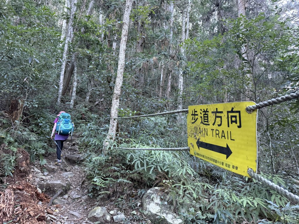 馬崙山 20250906_2889328