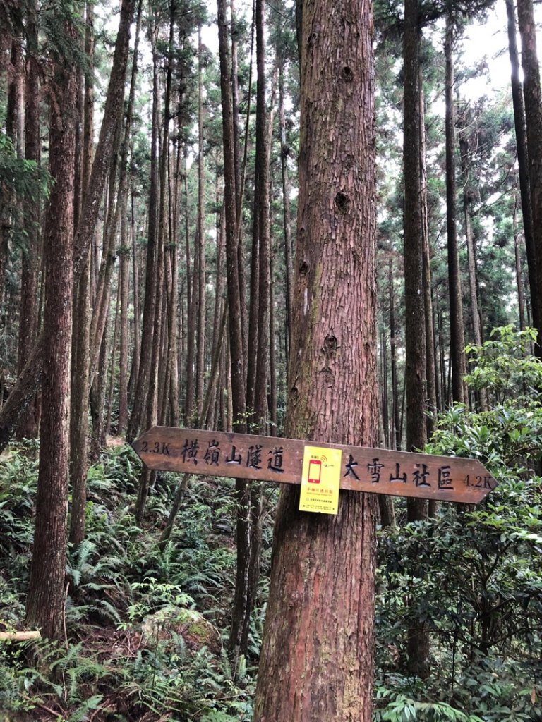 1070929橫嶺山自然步道_422294