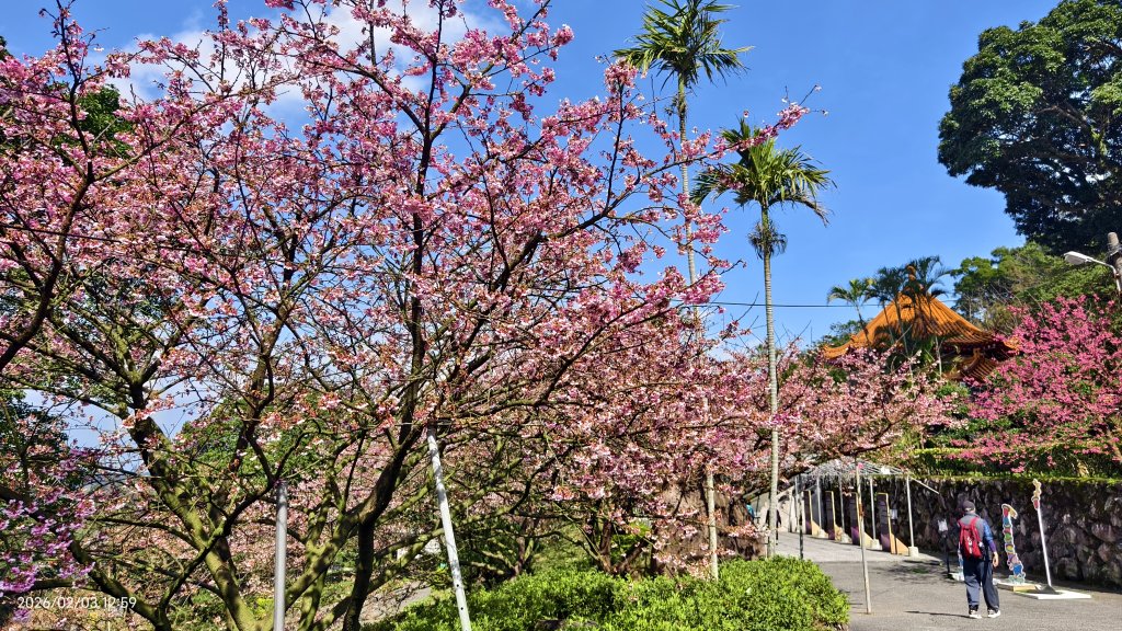 天元宮了嗎？2/3封面圖