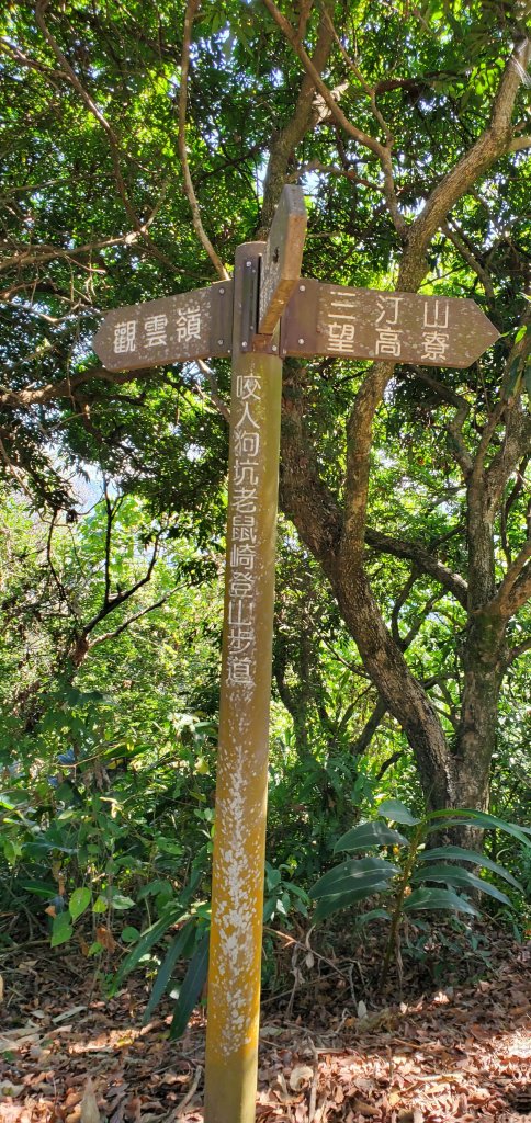 2021-11-14咬人狗坑登山步道(三汀山)_1515093