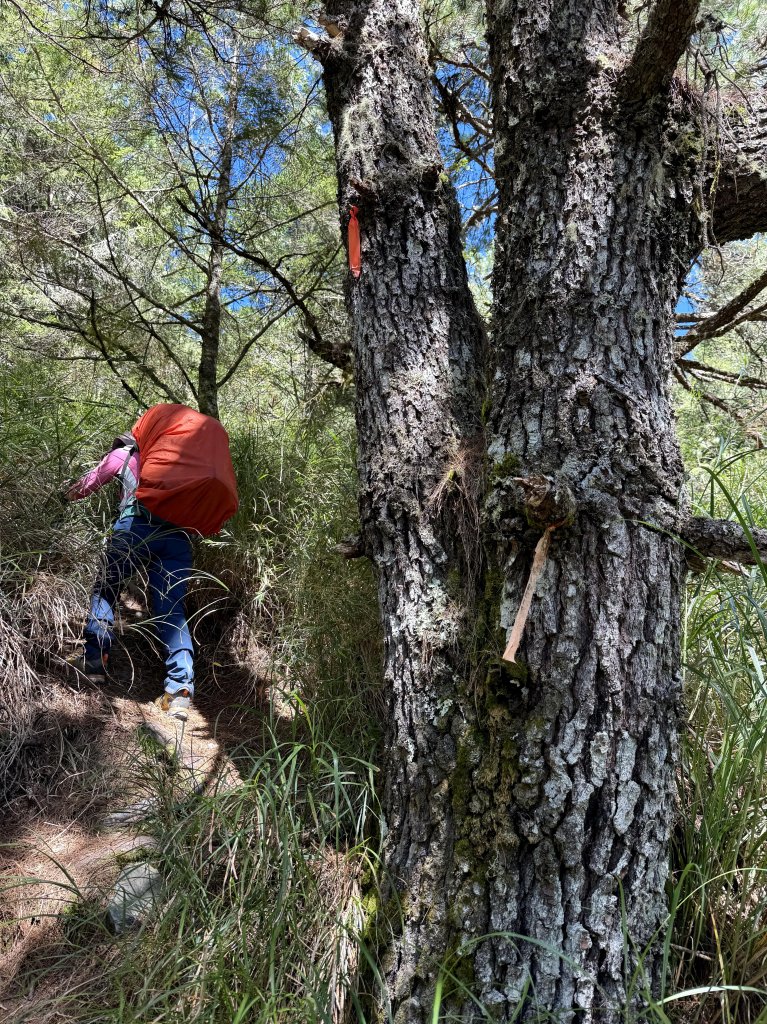 觀雲山莊經小完美谷上畢祿山O繞_2917195