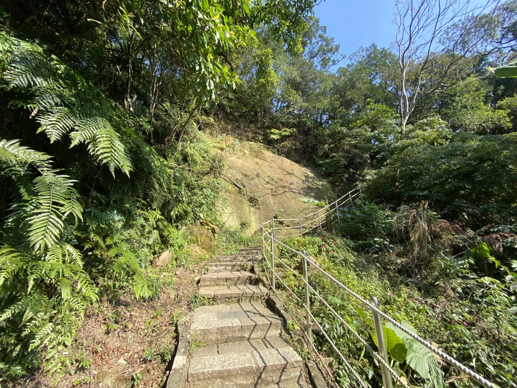 四獸山健走紀錄｜冬日九五峰健走｜福德街51巷起登 × 豹山溪步道下山_2985957