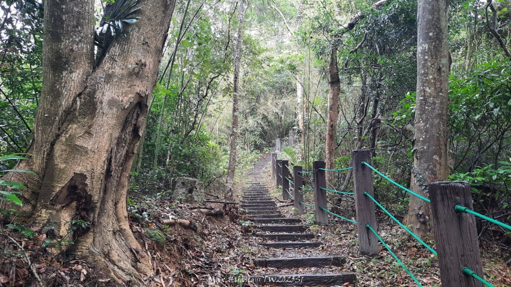 《苗栗》台鐵舊山線｜三義勝興鐵道覓境及挑柴古道O繞20250119_2693538