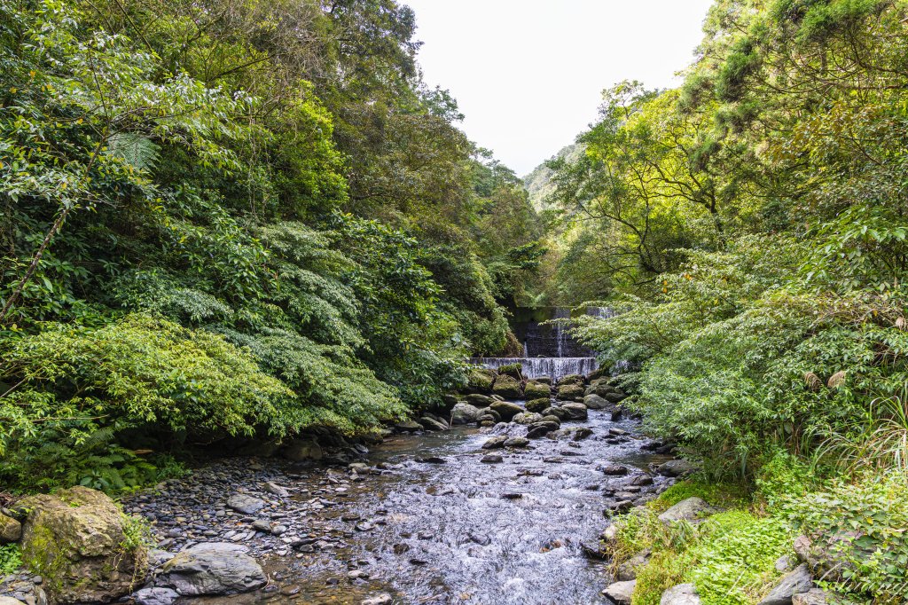 桶後越嶺_2950057