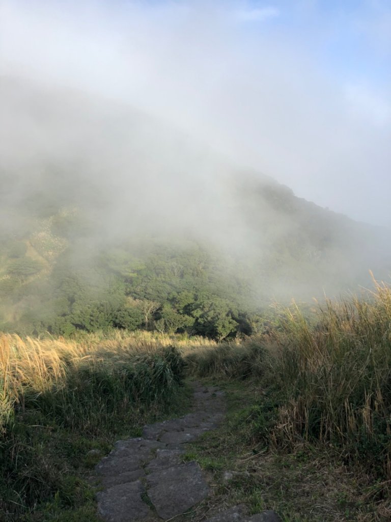 向天山面天山_796739