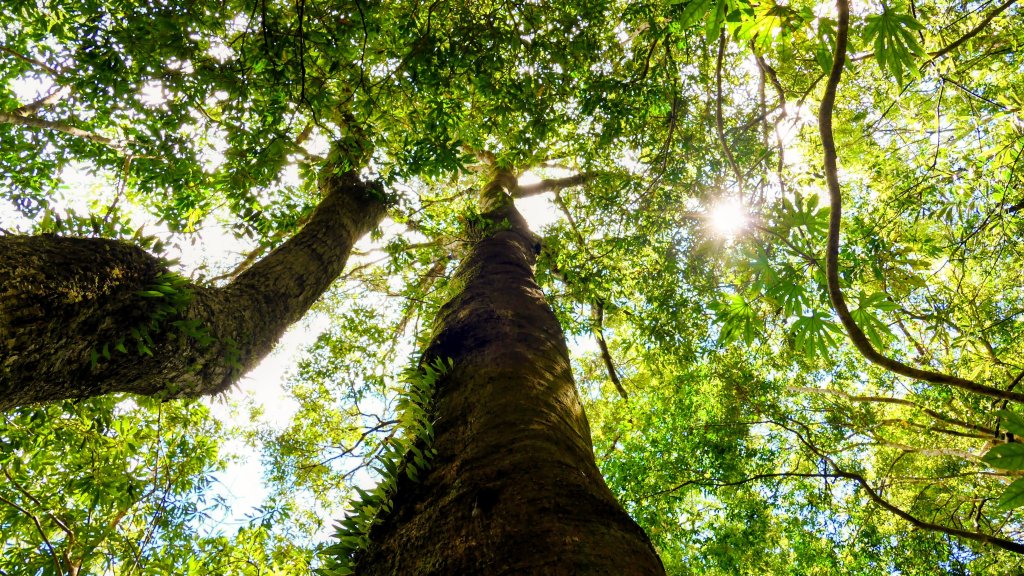 李棟山莊_2882507