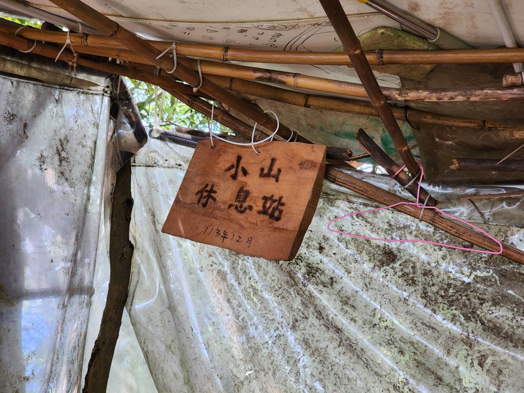 小百岳No.15⛰大棟山(龜崙山)_2849783