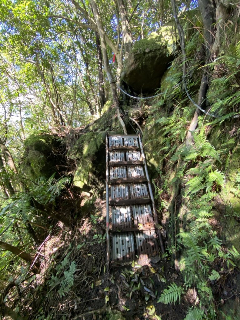 2023/12/14 碇內尖山 龍門山 五分山 淡蘭古道中路_2399802