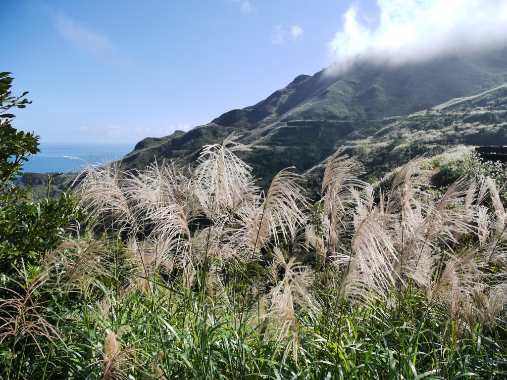 20141122_無耳茶壺山 半屏山 燦光寮O型_3133