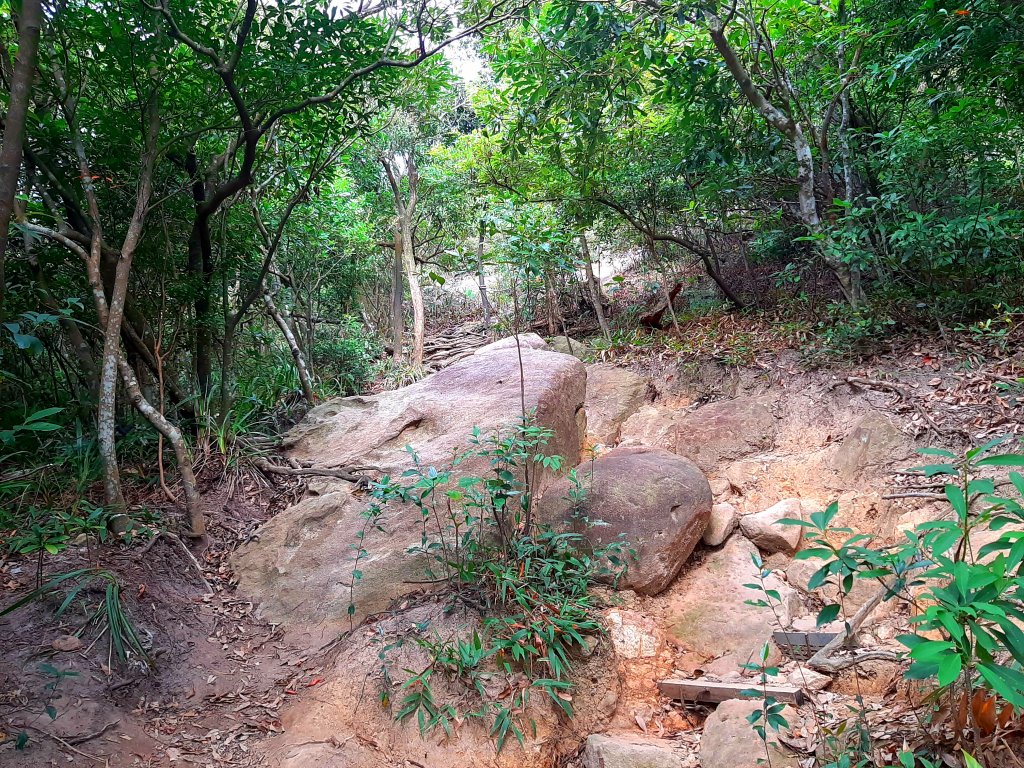 環台步道馬拉松之金面山、軍鑑岩_1920028