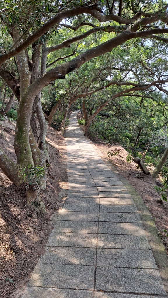 馬祖大坵梅花鹿島環島健走_1142347