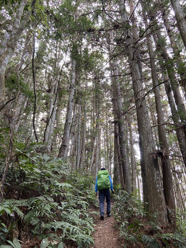 尋訪歷史的軌跡-秀巒軍艦岩登芝生毛台山與虎禮山_1634153