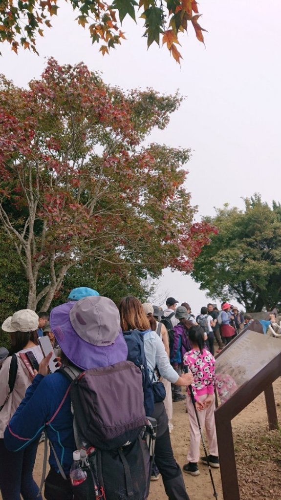 馬那邦山O走_2370104