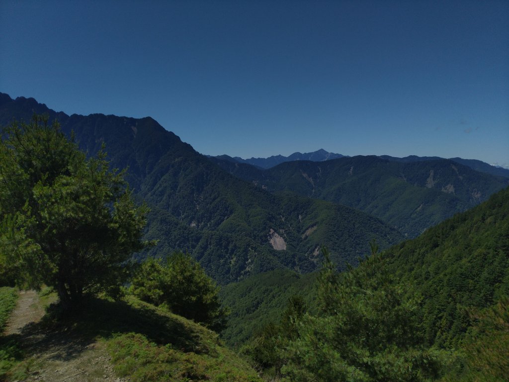 2022-07-21 塔塔加一日遊(麟趾山、鹿林山)_1771439