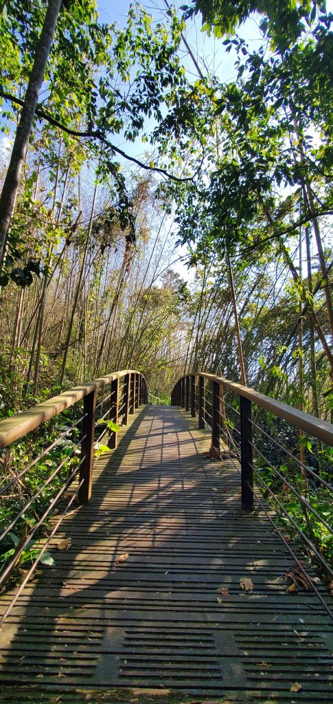 2025-01-30迷糊步道_2704449