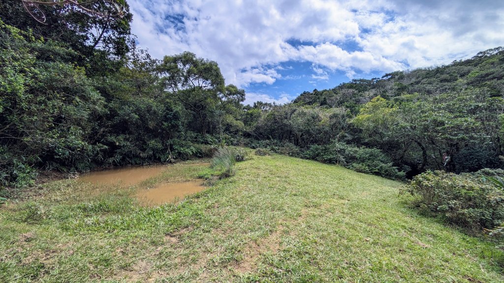 龜媽坑古道,雪山尾稜南段,草嶺古道_2354656