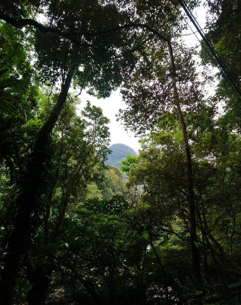 組合山連走滿月圓山O走_1044555