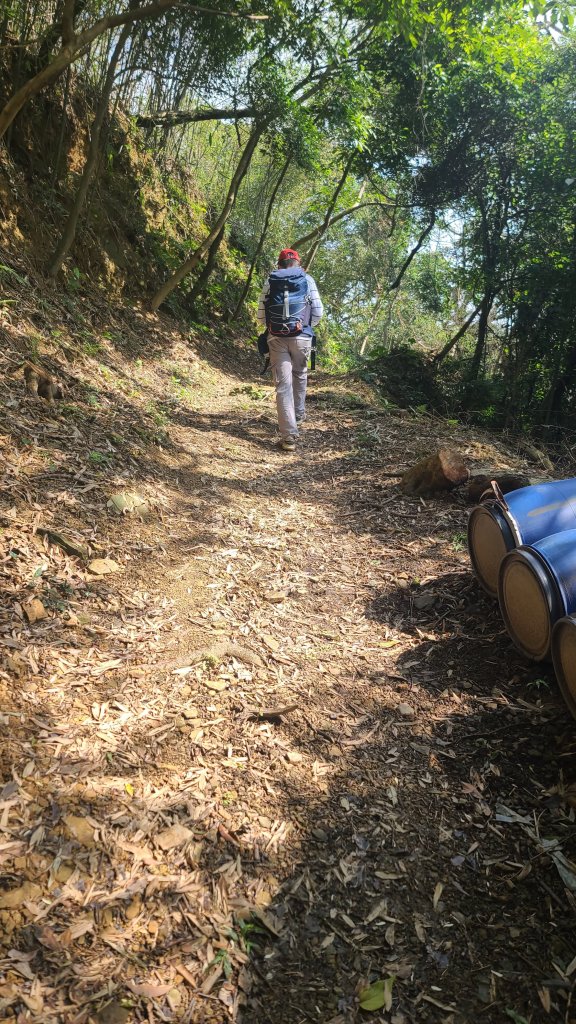 2025-0204 鶯歌_大凍山_三角埔頂山_迴龍_2707900