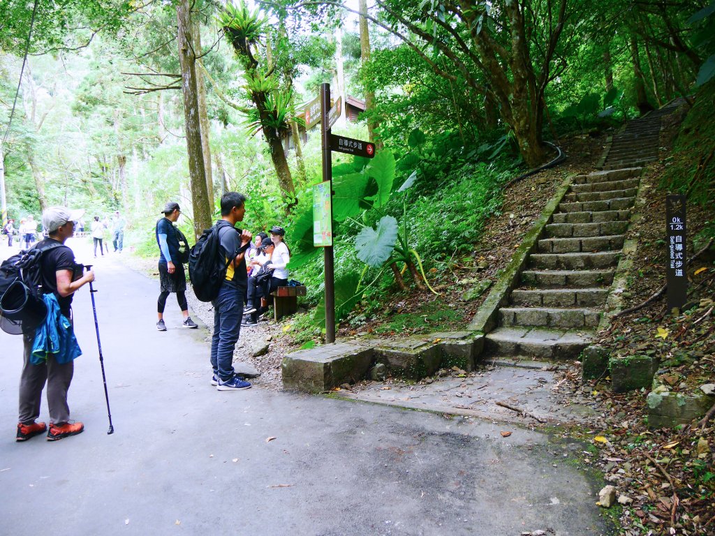 三峽滿月圓國家森林步道_1053585