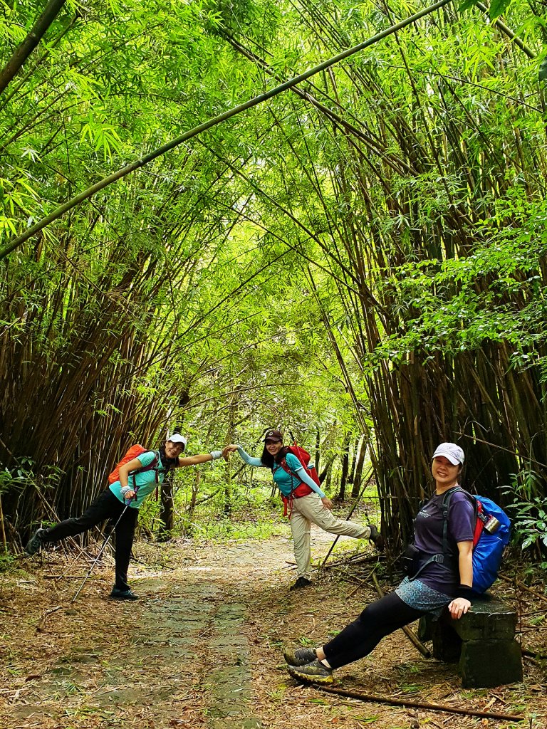 【擔魚之路】金包里大道賞秋芒_1491525