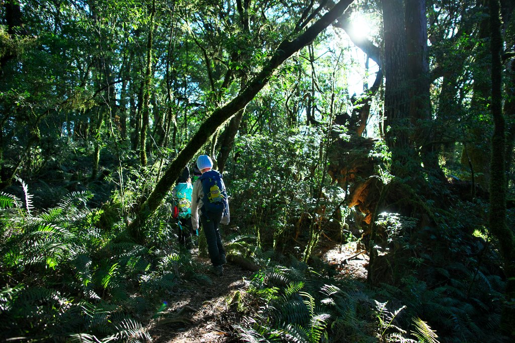親子健行－羅馬縱走_819618