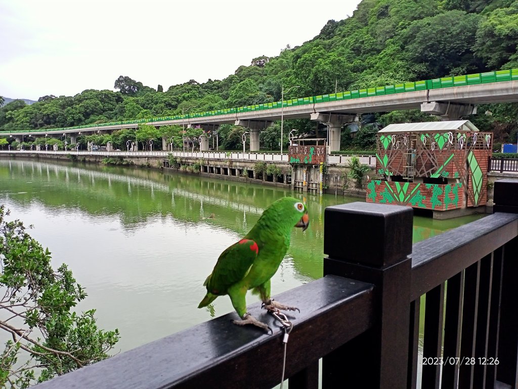 大湖公園、大湖山莊街 2-1【走路趣尋寶】封面圖