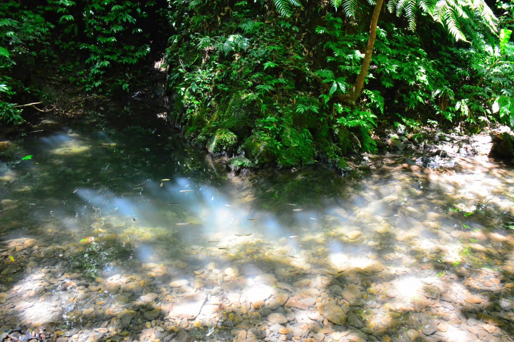 充滿禪意的坪溪古道_1455142