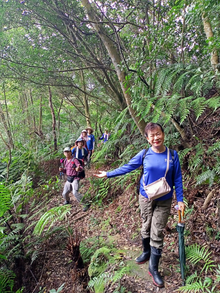 樂活遨遊坪頂古圳步道→荷蘭古道→高頂山→北五指山→頂山→風櫃嘴→天溪園→聖人橋_1509506