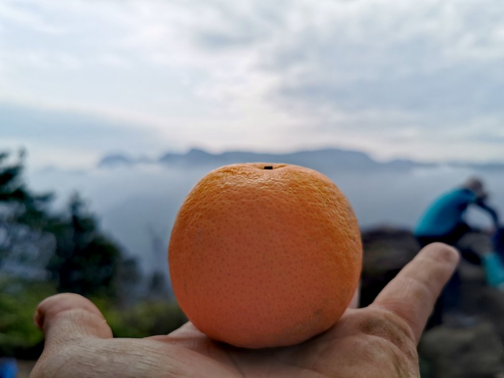 20200306石牛山_870295