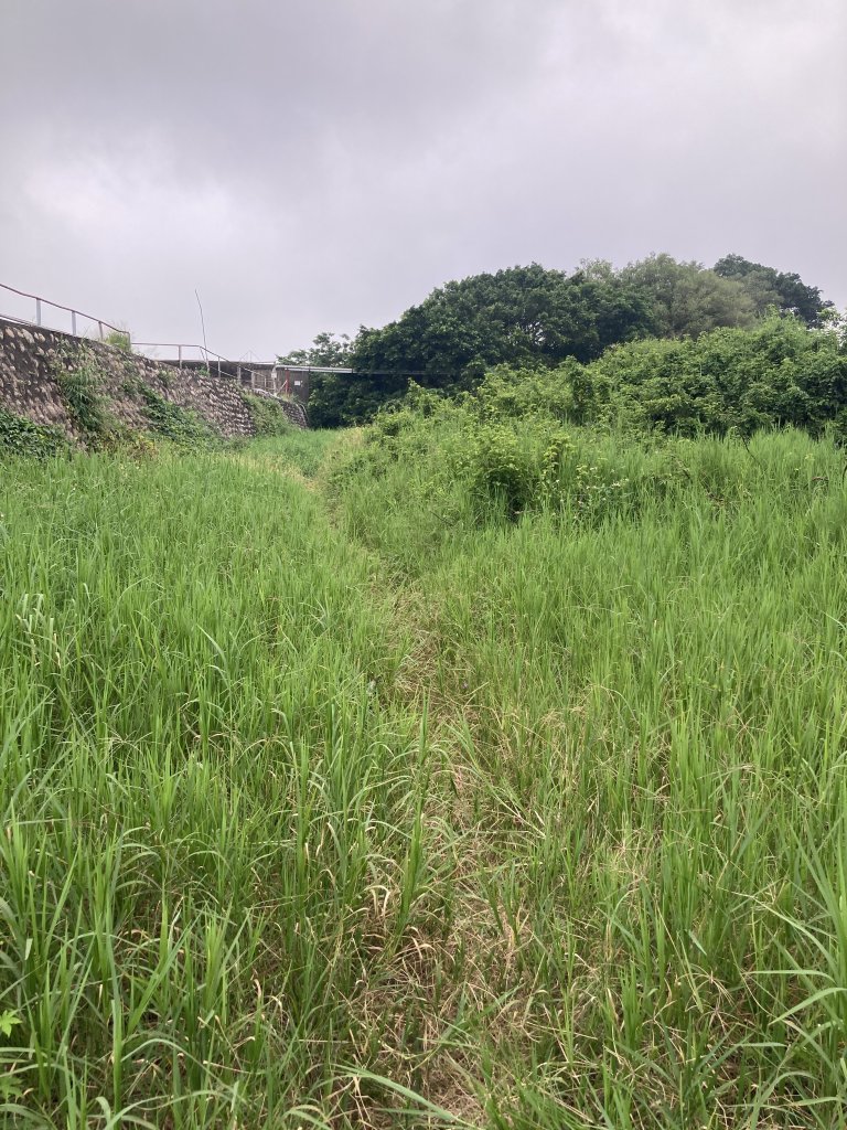 鐵砧山登山步道_2512666