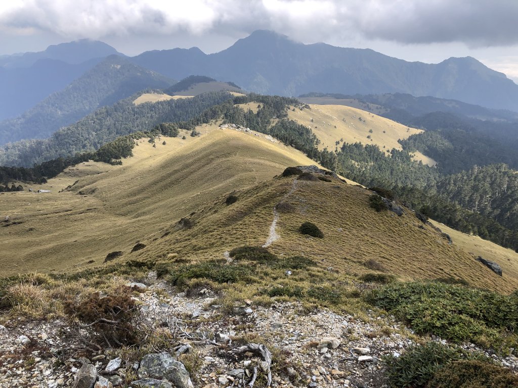 奇萊東稜下嵐山_883564