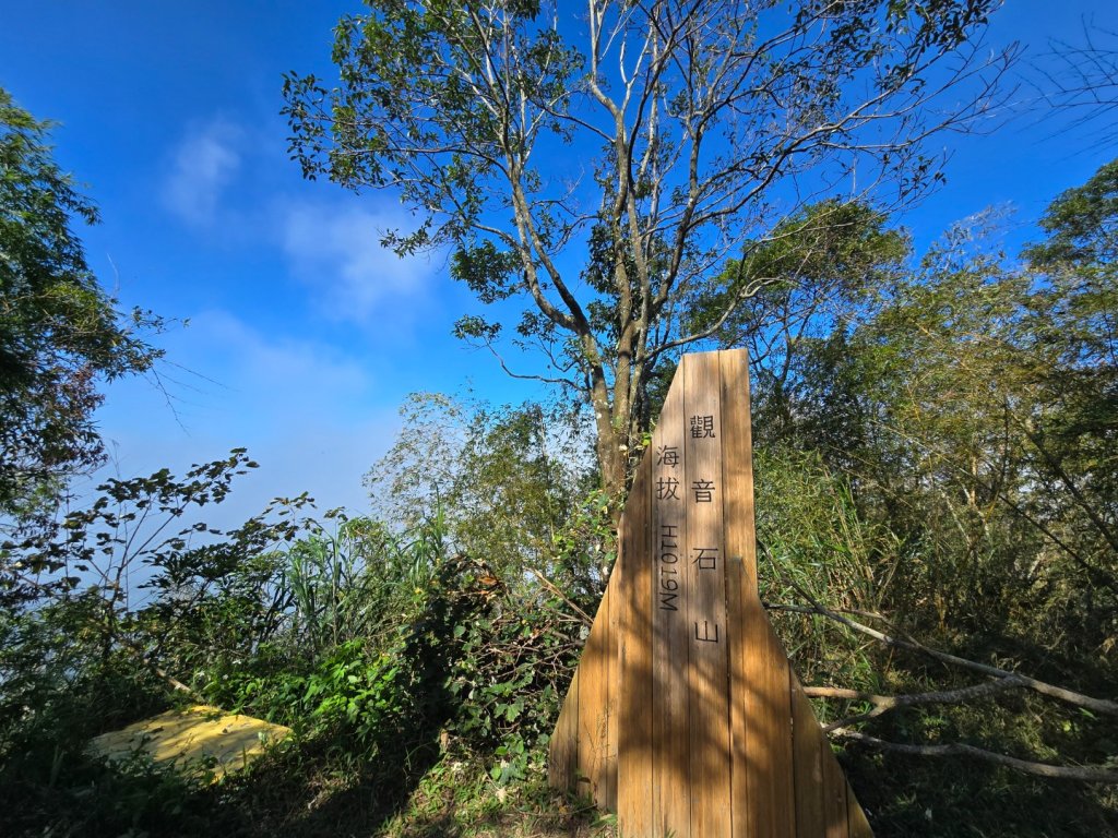嘉義竹崎十連峰（ 阿拔泉山進O繞獨立山出）_2655204