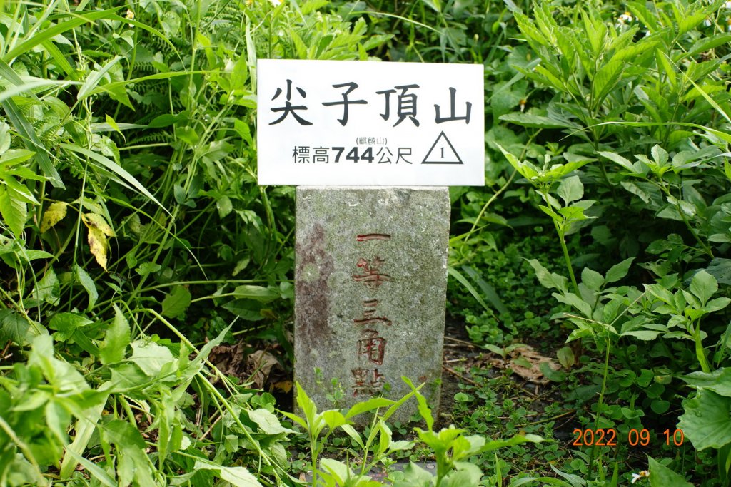 南投 鹿谷 尖子頂山(麒麟山)封面圖