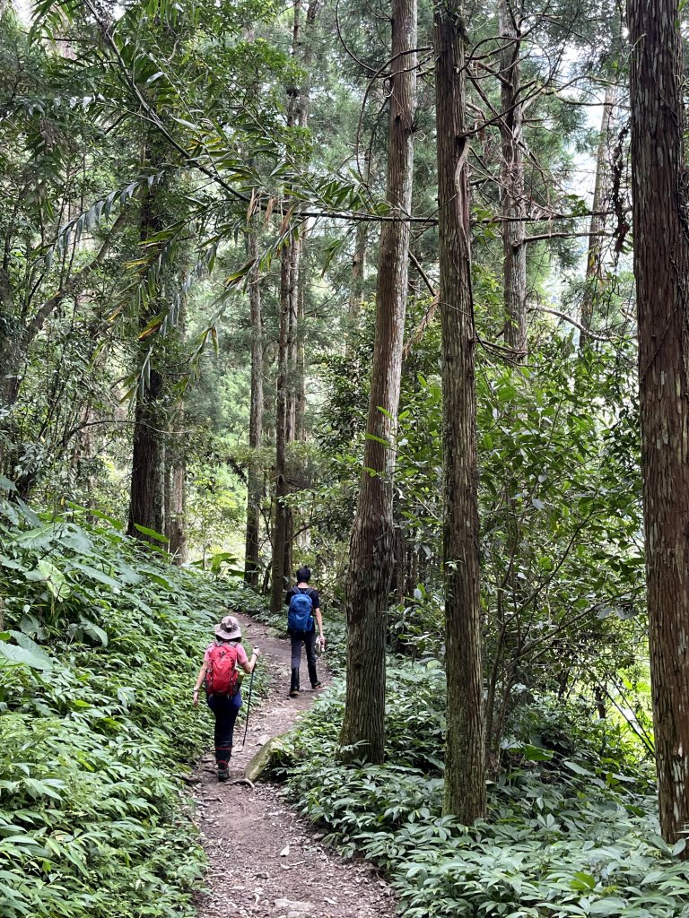雲森瀑布群+熊空南峰(組合山)O繞 20220702_1754127