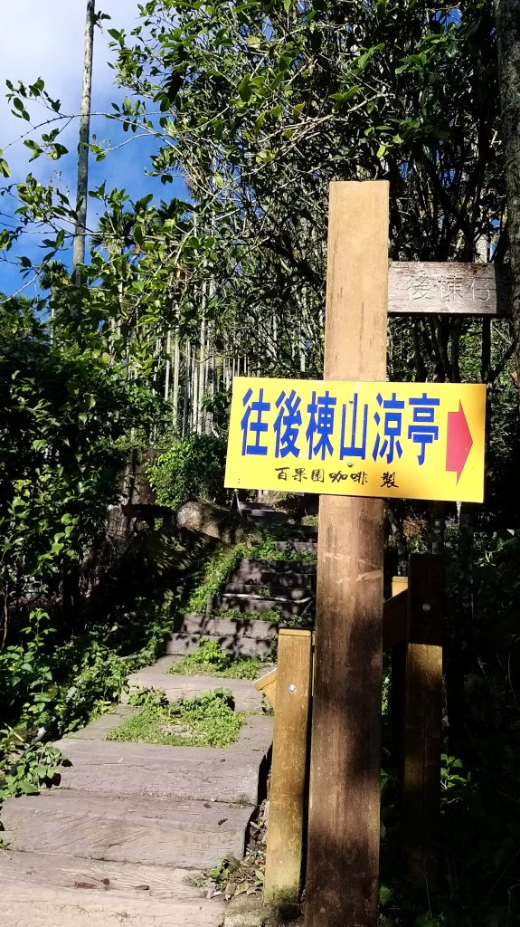 220820-後棟仔山（挑筍古道）_2160793