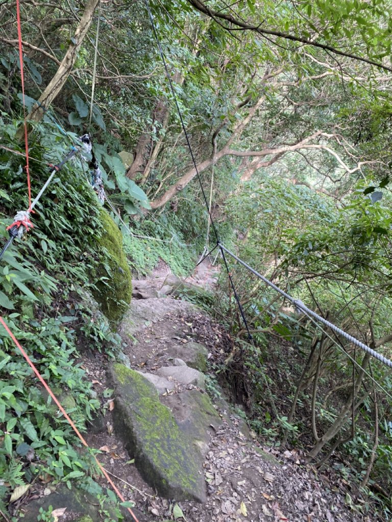 2023/10/24 尖山步道 北橫古道 硬漢嶺_2368748