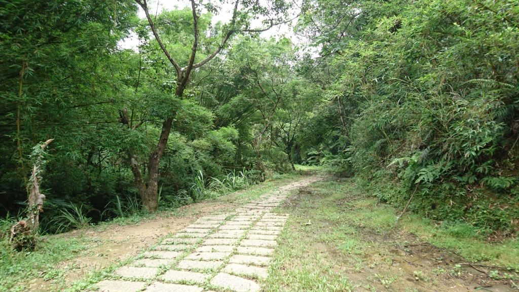 柴寮古道．中坑古道．三貂嶺瀑布群_48465