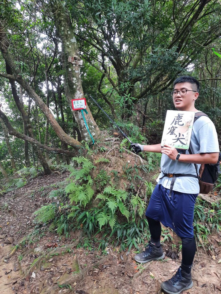 20230715 白雞三山 (鹿窟尖山-雞罩山-白雞山)，高CP好吃的食三麵屋_2219382