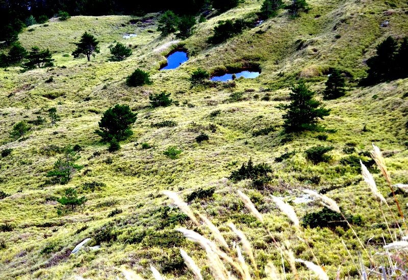 山風15度C吹拂 ~ 合歡溪 步道_1551752