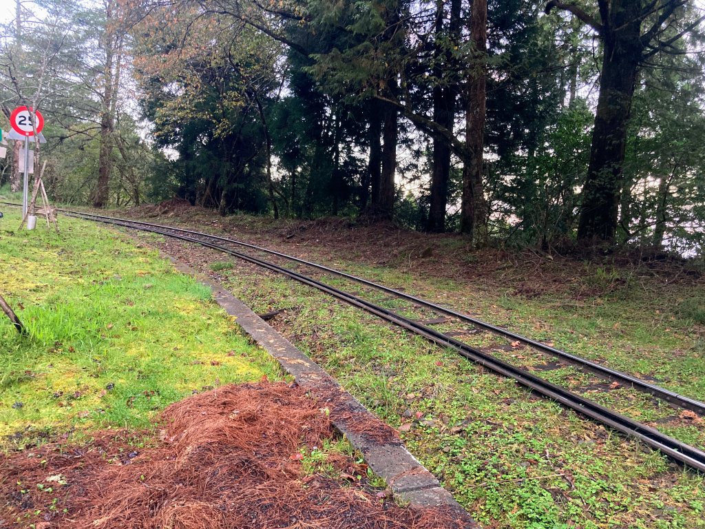 祝山觀日步道(小笠原山)_2649609