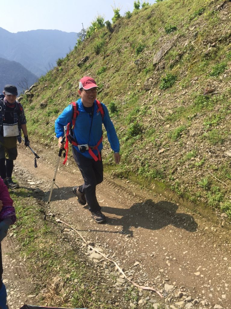 米羅山之木_292361