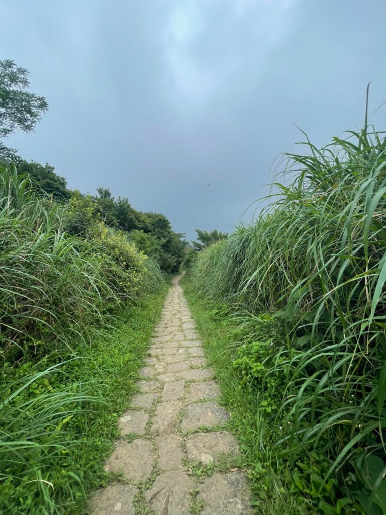 臺北大縱走第一段 捷運關渡站－二子坪服務站 0619_1808251