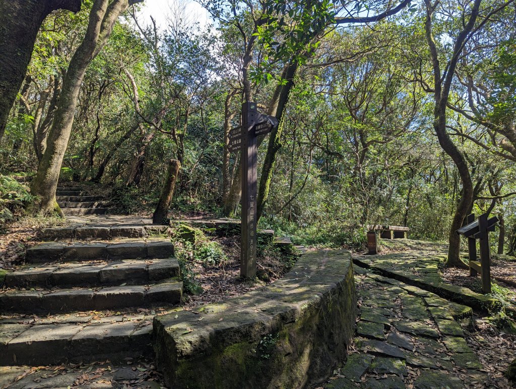冬日好天氣走苗圃線登七星山。下小油坑及環七星山人車分道_1993417